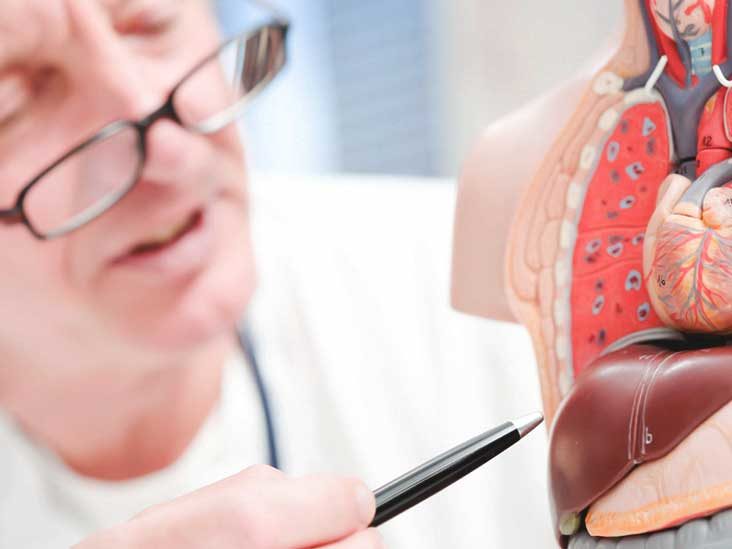 liver function testing physicians