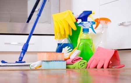 Domestic Cleaner